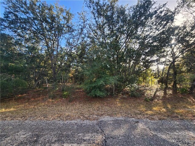 2176 W Conway Dr, Citrus Springs, FL 34434 - photo 1