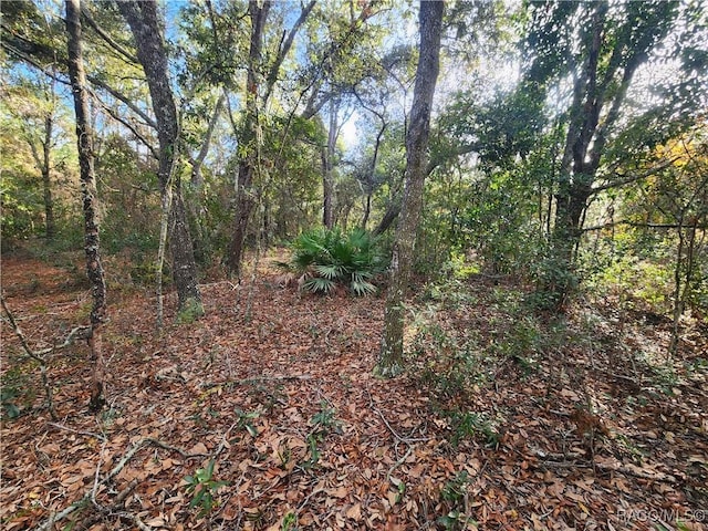 2176 W Conway Dr, Citrus Springs, FL 34434 - photo 8