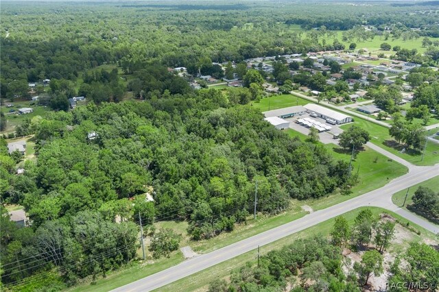 6779 W Grover Cleveland Blvd, Homosassa, FL 34446 - photo 20