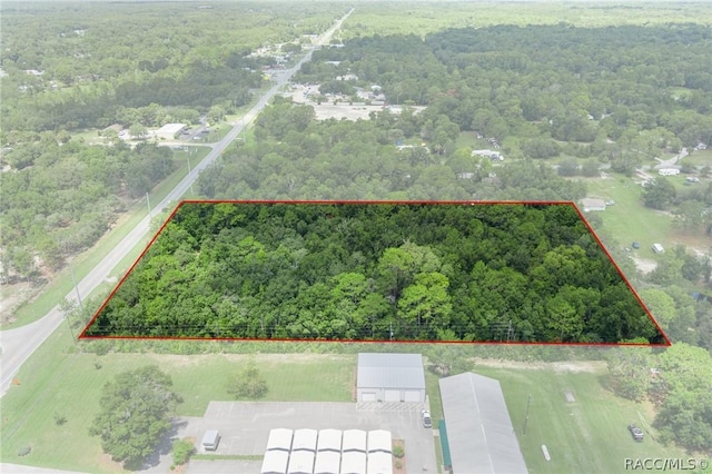 6779 W Grover Cleveland Blvd, Homosassa, FL 34446 - photo 15