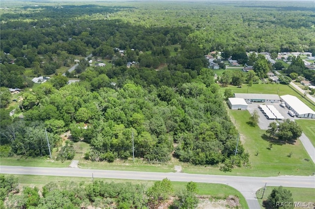6779 W Grover Cleveland Blvd, Homosassa, FL 34446 - photo 19