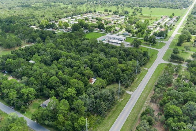6779 W Grover Cleveland Blvd, Homosassa, FL 34446 - photo 8