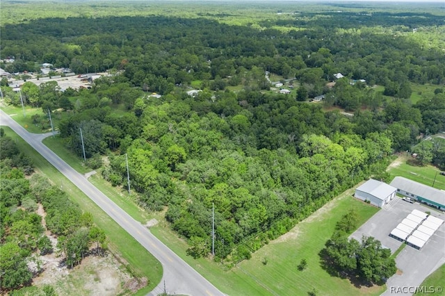 6779 W Grover Cleveland Blvd, Homosassa, FL 34446 - photo 18