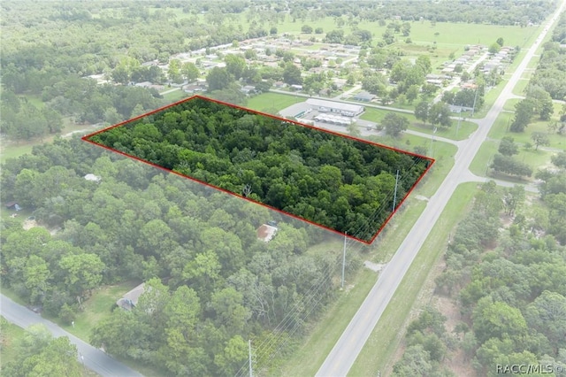 6779 W Grover Cleveland Blvd, Homosassa, FL 34446 - photo 7