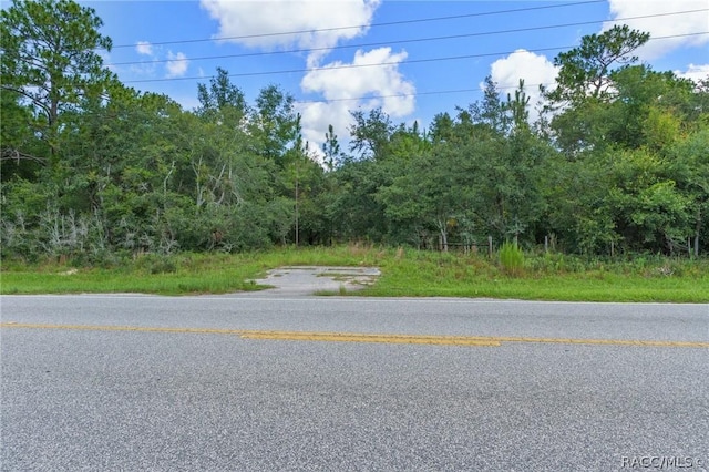 6779 W Grover Cleveland Blvd, Homosassa, FL 34446 - photo 21