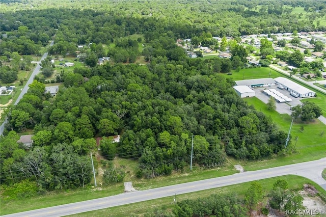 6779 W Grover Cleveland Blvd, Homosassa, FL 34446 - photo 6