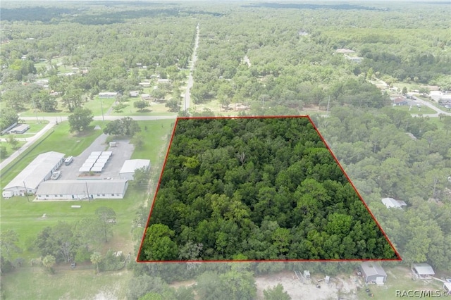 6779 W Grover Cleveland Blvd, Homosassa, FL 34446 - photo 11