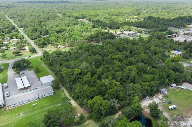6779 W Grover Cleveland Blvd, Homosassa, FL 34446 - photo 13