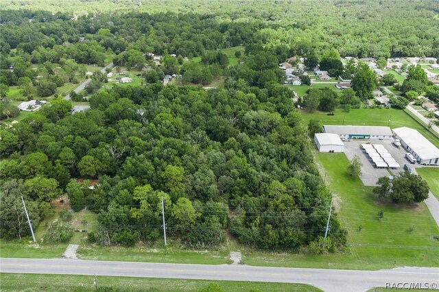 6779 W Grover Cleveland Blvd, Homosassa, FL 34446 - photo 3