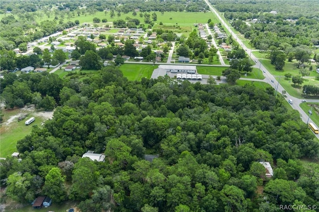 6779 W Grover Cleveland Blvd, Homosassa, FL 34446 - photo 9