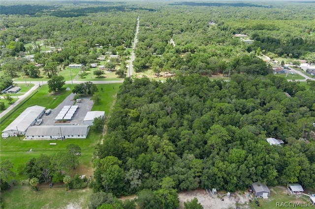 6779 W Grover Cleveland Blvd, Homosassa, FL 34446 - photo 12
