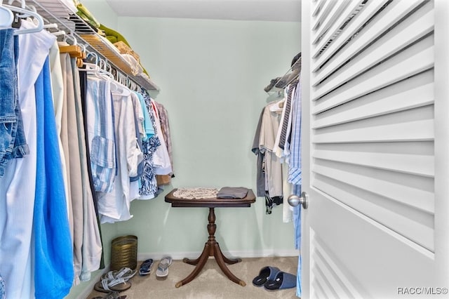 spacious closet featuring carpet floors