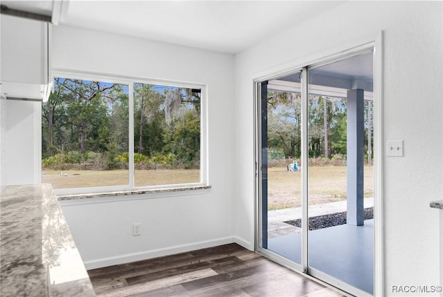 doorway to outside featuring dark hardwood / wood-style flooring and plenty of natural light