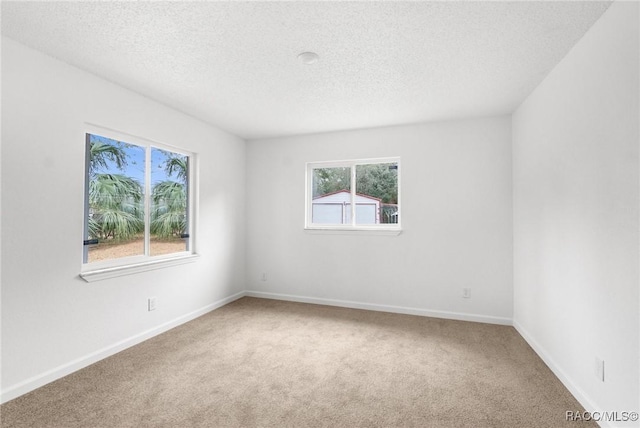 carpeted empty room featuring plenty of natural light and a textured ceiling