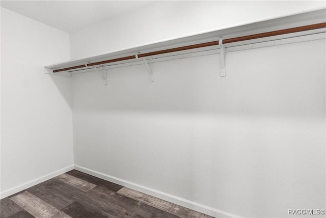 spacious closet with dark hardwood / wood-style floors