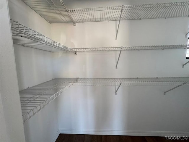 view of walk in closet