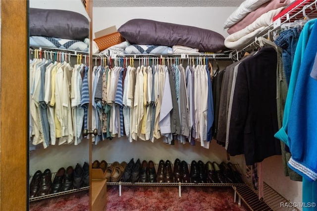 spacious closet featuring carpet