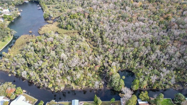 873 N Michael Brunn Pt, Crystal River, FL 34429