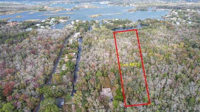 873 N Michael Brunn Pt, Crystal River, FL 34429