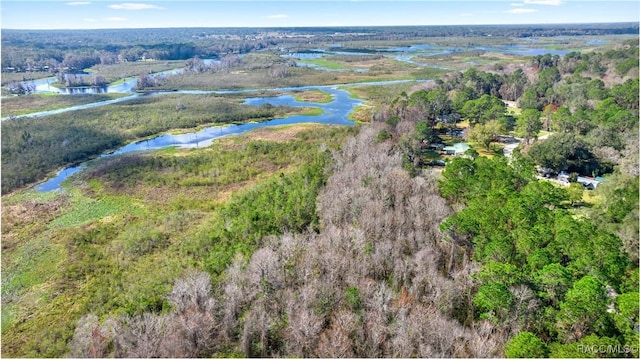 22535 SW 117th St, Dunnellon, FL 34431 - view of property location with a large body of water
