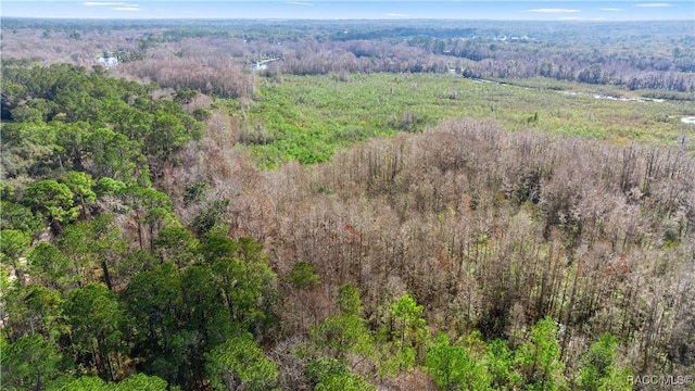 22535 SW 117th St, Dunnellon, FL 34431 - aerial view of a forest