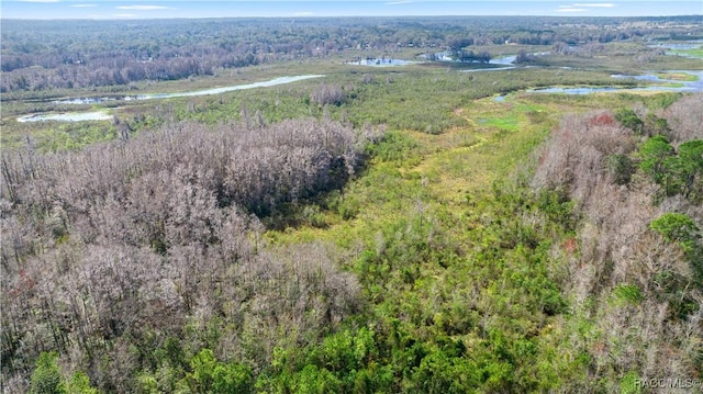 22535 SW 117th St, Dunnellon, FL 34431 - drone / aerial view of a nearby body of water