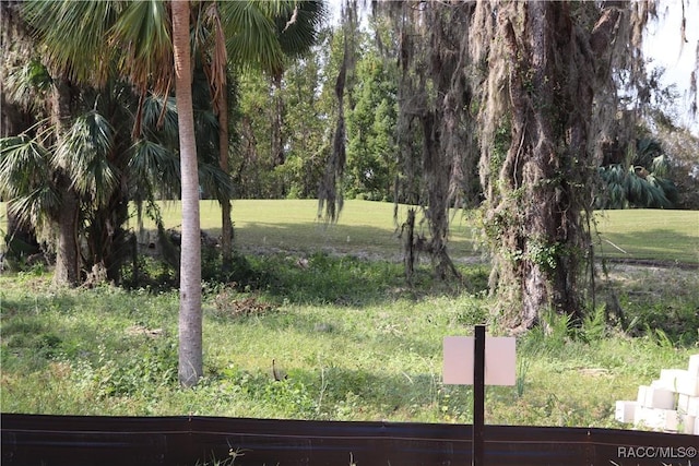 6392 Summit View Dr, Brooksville, FL 34604 - view of nature