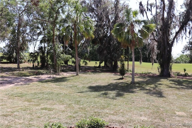 6392 Summit View Dr, Brooksville, FL 34604 - view of yard