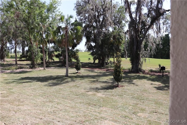 6392 Summit View Dr, Brooksville, FL 34604 - view of yard
