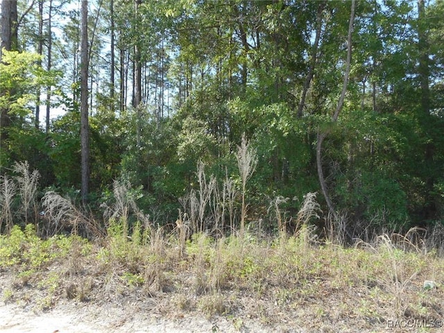 L43 SW 51st Ln, Dunnellon FL, 34432 land for sale