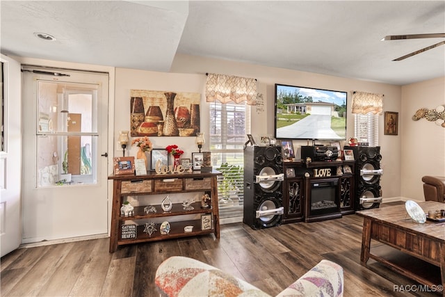 living room featuring hardwood / wood-style flooring and ceiling fan