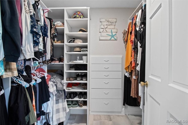 view of spacious closet