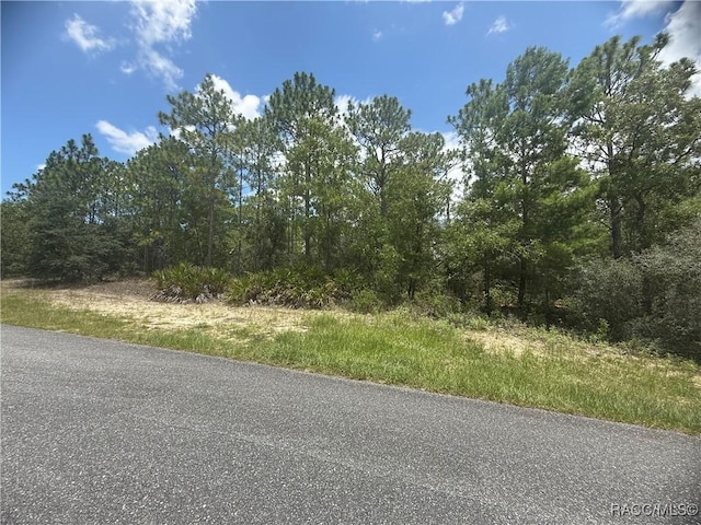 5199 W Yuma Ln, Beverly Hills, FL 34465 - photo 6