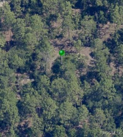 5199 W Yuma Ln, Beverly Hills, FL 34465 - photo 8