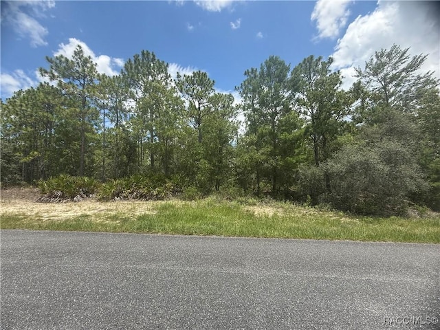 5199 W Yuma Ln, Beverly Hills, FL 34465 - photo 7