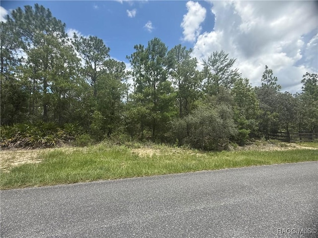 5199 W Yuma Ln, Beverly Hills, FL 34465 - photo 5