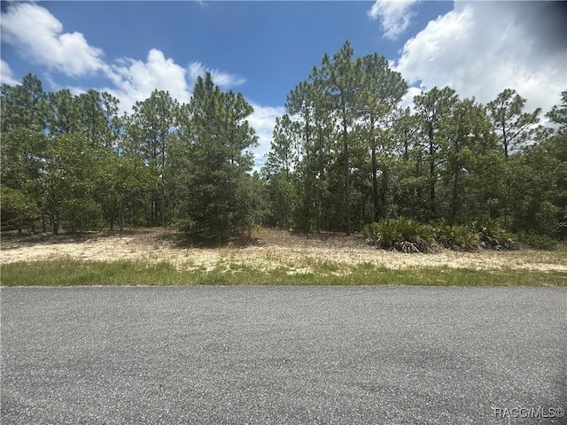 5199 W Yuma Ln, Beverly Hills, FL 34465 - photo 3