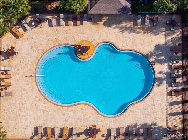 view of swimming pool