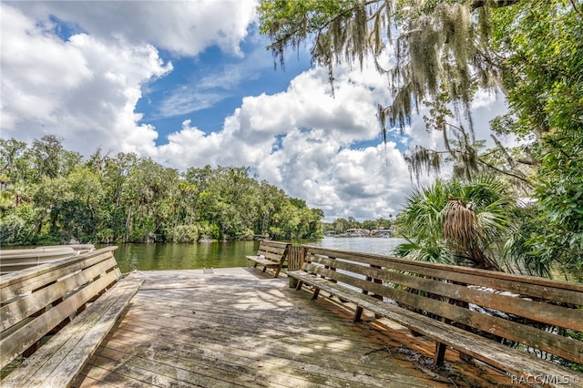 dock area with a water view