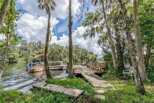 dock area with a water view