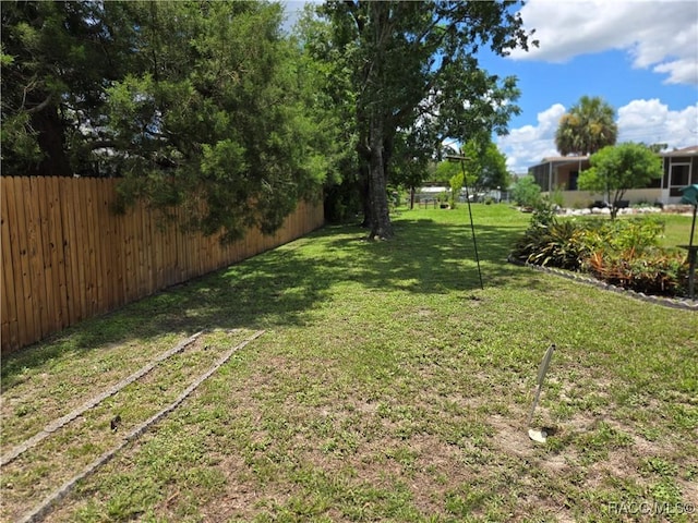 215 S Jefferson St, Beverly Hills, FL 34465 - view of yard