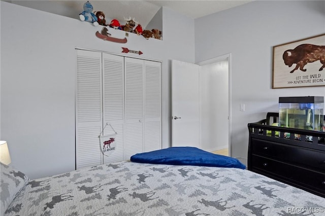 483 N Turkey Pine Loop, Lecanto, FL 34461 - bedroom featuring a closet