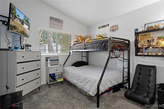 483 N Turkey Pine Loop, Lecanto, FL 34461 - carpeted bedroom featuring lofted ceiling