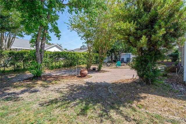 483 N Turkey Pine Loop, Lecanto, FL 34461 - view of yard