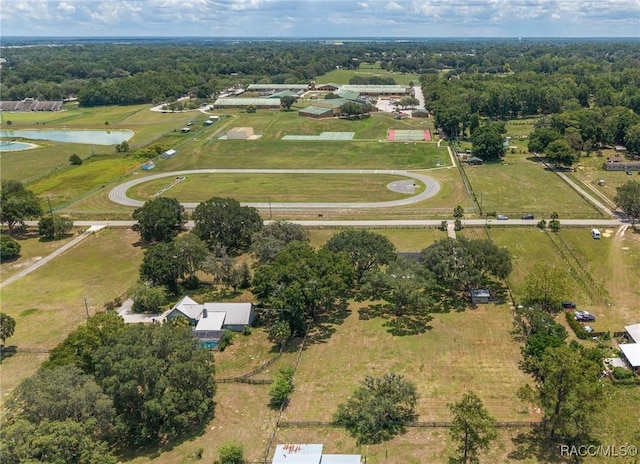 10600 SE 32nd Ave, Ocala, FL 34480 - photo 60