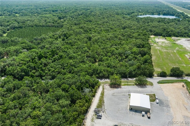 6550 N Tallahassee Rd, Crystal River, FL 34428 - photo 3