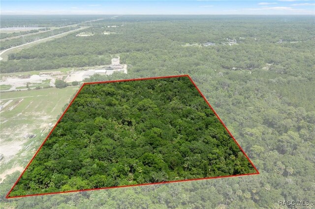 6550 N Tallahassee Rd, Crystal River, FL 34428 - photo 13