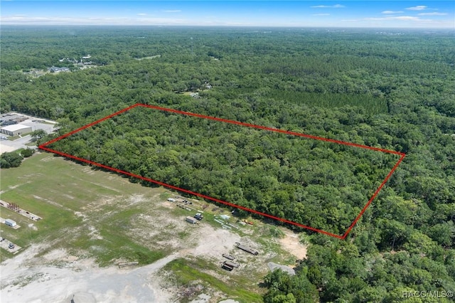 6550 N Tallahassee Rd, Crystal River, FL 34428 - photo 18