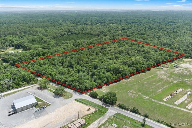 6550 N Tallahassee Rd, Crystal River, FL 34428 - photo 28