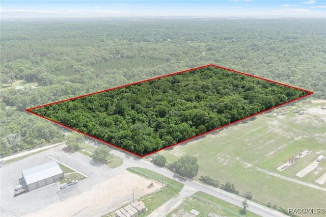 6550 N Tallahassee Rd, Crystal River, FL 34428 - photo 27
